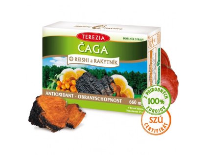 e62040cbbbad8e aga reishi a rakytnik terezia 60 kapsul