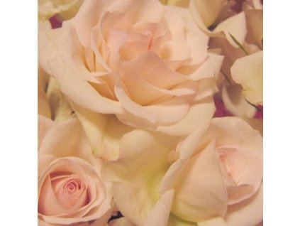 0647f7dfa17e05 bio ruzova voda z bielej ruze rosa alba 0 071