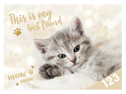 MFP 8021040 Dosky na číslice Mačka