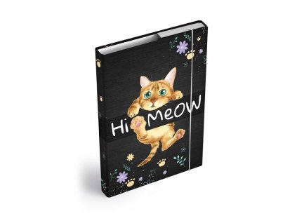 MFP 8020980 Dosky na zošity box A4 Mačka