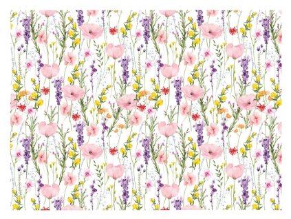 MFP 5811917 Baliaci papier K361 100x70 LUX