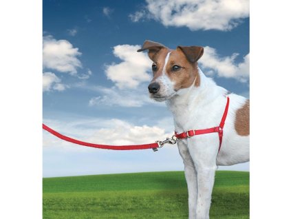 Easy Walk Postroj proti ťahaniu