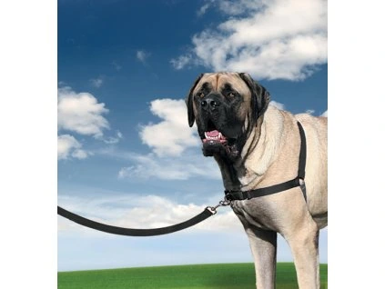 Postroj EasyWalk , čierny XL