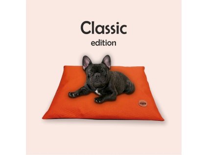 red ant vank tehlov 2