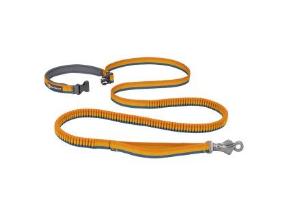 40356 roamer leash yellow snow open 2