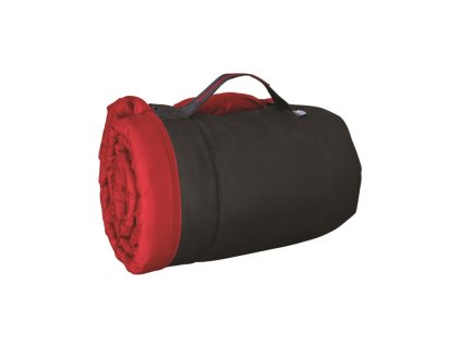 loft bed rd pd hero 2