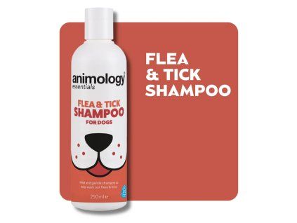 essentials flea tick shampoo 250ml