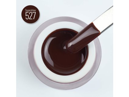 deliashop sk moyra supershine 527