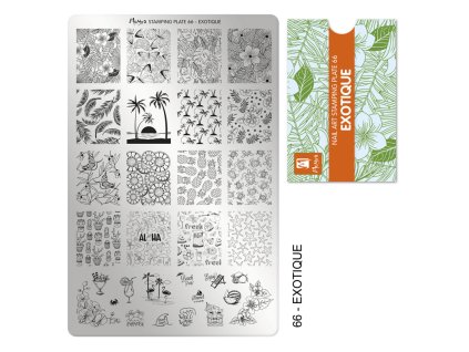 Moyra Stamping Platňa na pečiatkovanie č. 66 Exotique