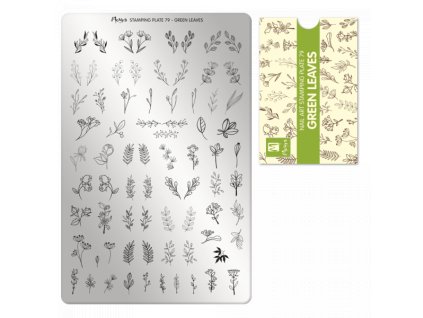 Moyra Stamping Platňa na pečiatkovanie č. 79 Green leaves