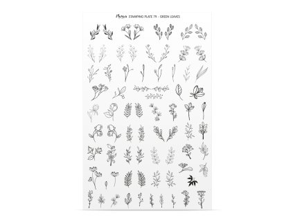 Moyra Priesvitná forma k platni č. 79