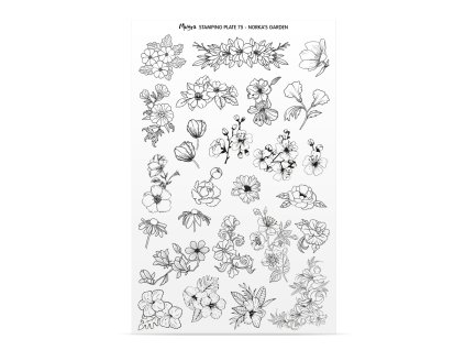 Moyra Priesvitná forma k platni č. 75