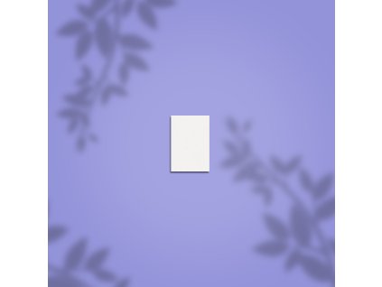 Staleks Pro Buffer MINI NFB-51M-100/180-50 - 50ks