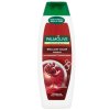 Palmolive Briliant Colour šampón 350ml