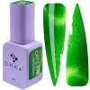 DNKa' Color Gel Polish Cat's Eye 0007 80's 12ml