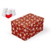 MFP 5371156 Krabička darčeková vianočná B-V010-E 24x16x12cm