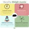 Shilajit - očistené mumio premium (500mg) - výživový doplnok - 80 kapsúl - Herbatica