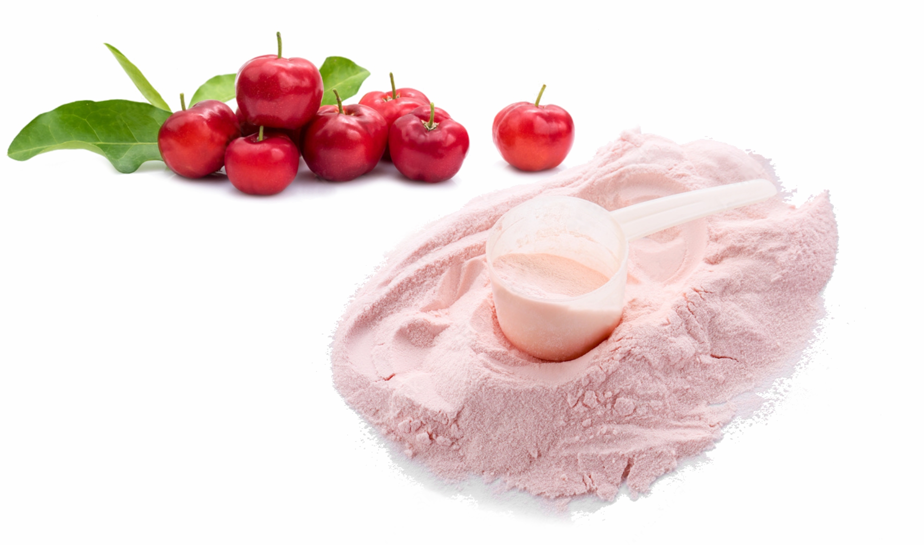 Acerola Barbadoská třešeň