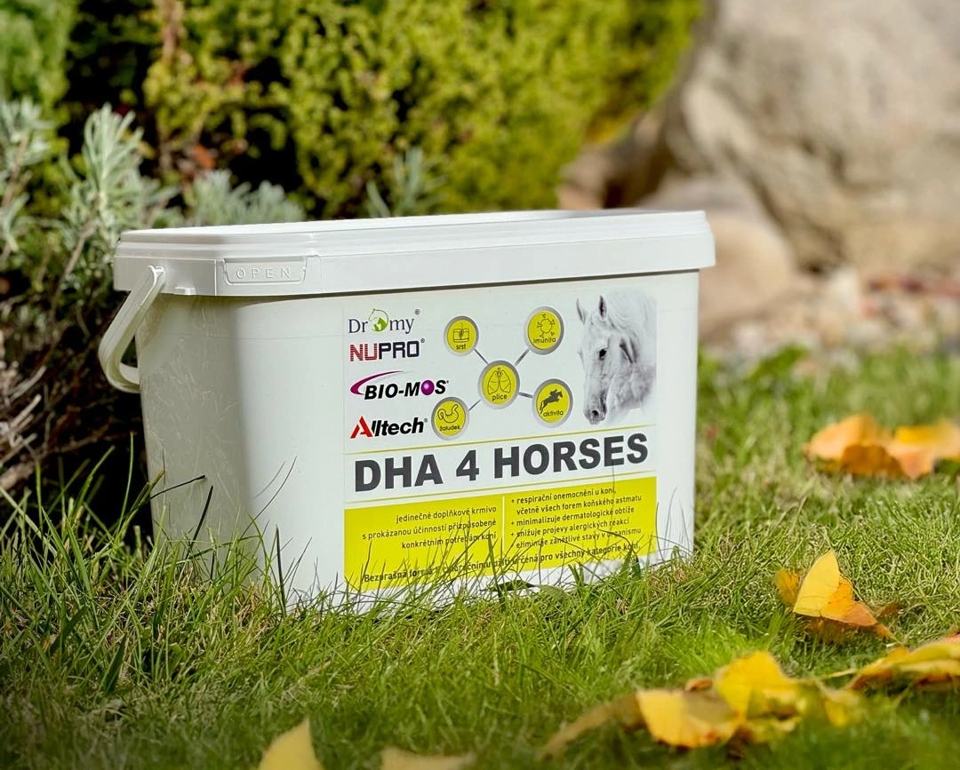 Dromy ® DHA 4 HORSES produkt který má skutečný význam