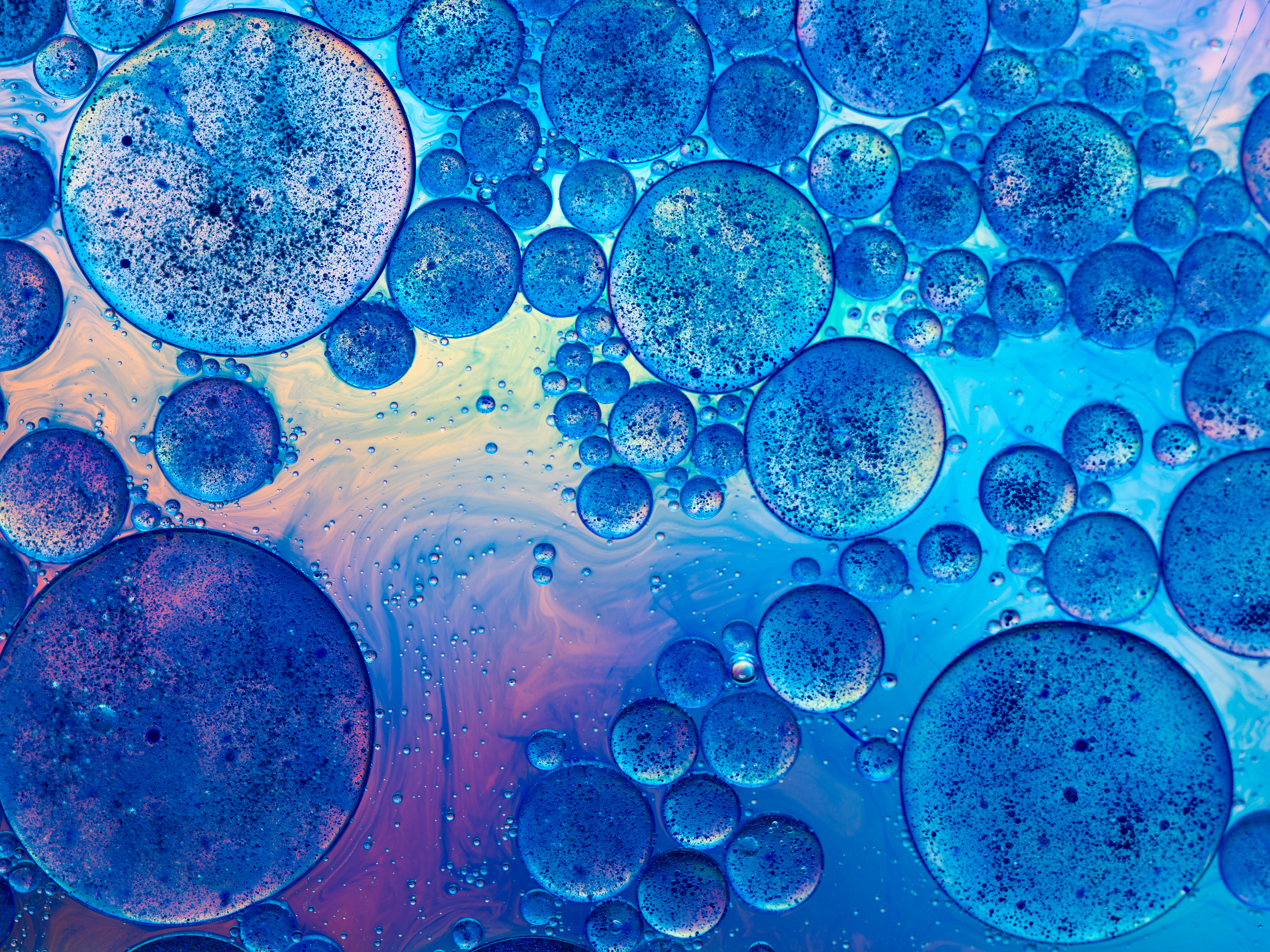 Tuky a jejich zpracování