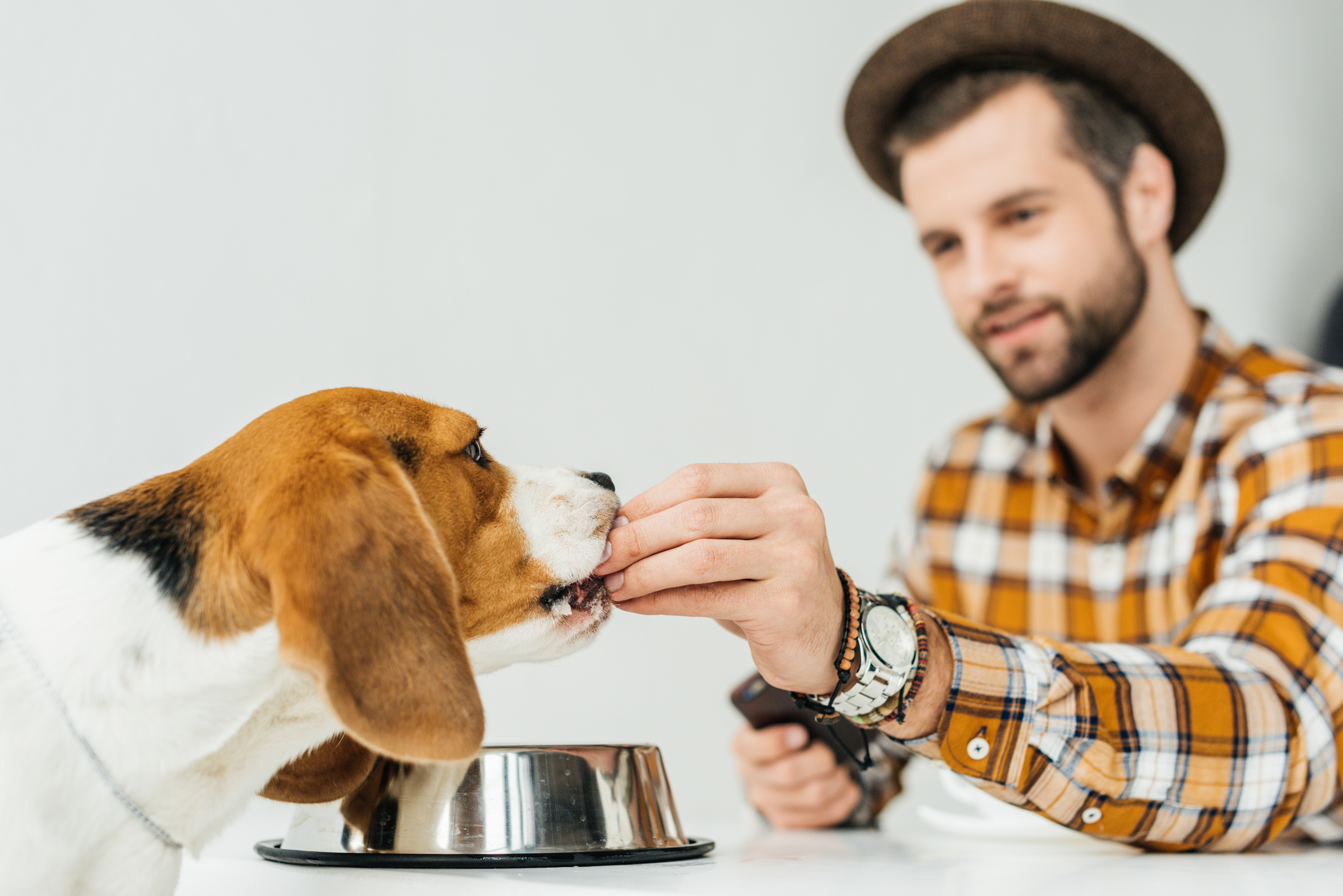 Potřeba energie v krmné dávce vašeho psa