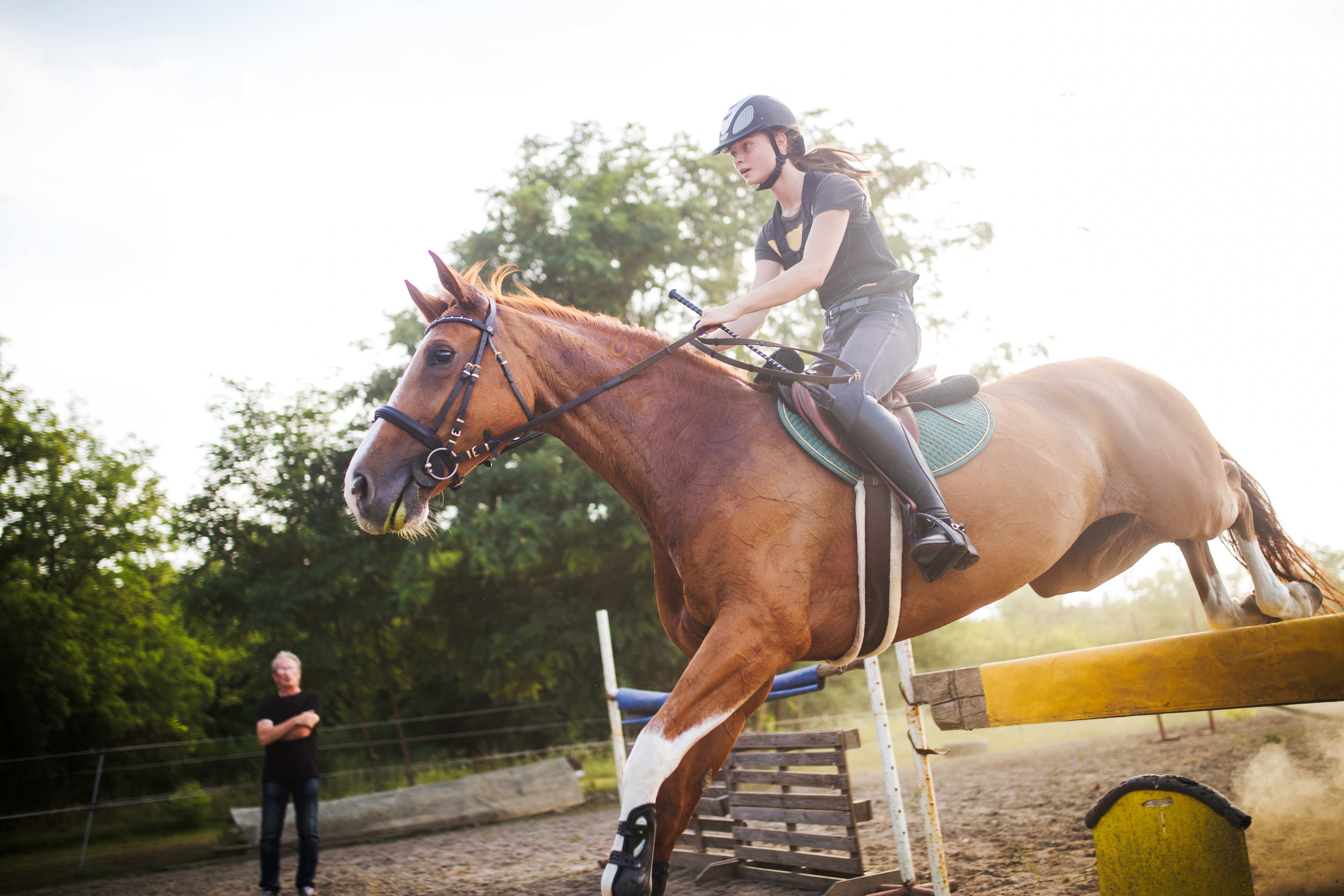Poškození zdraví koní ve sportu
