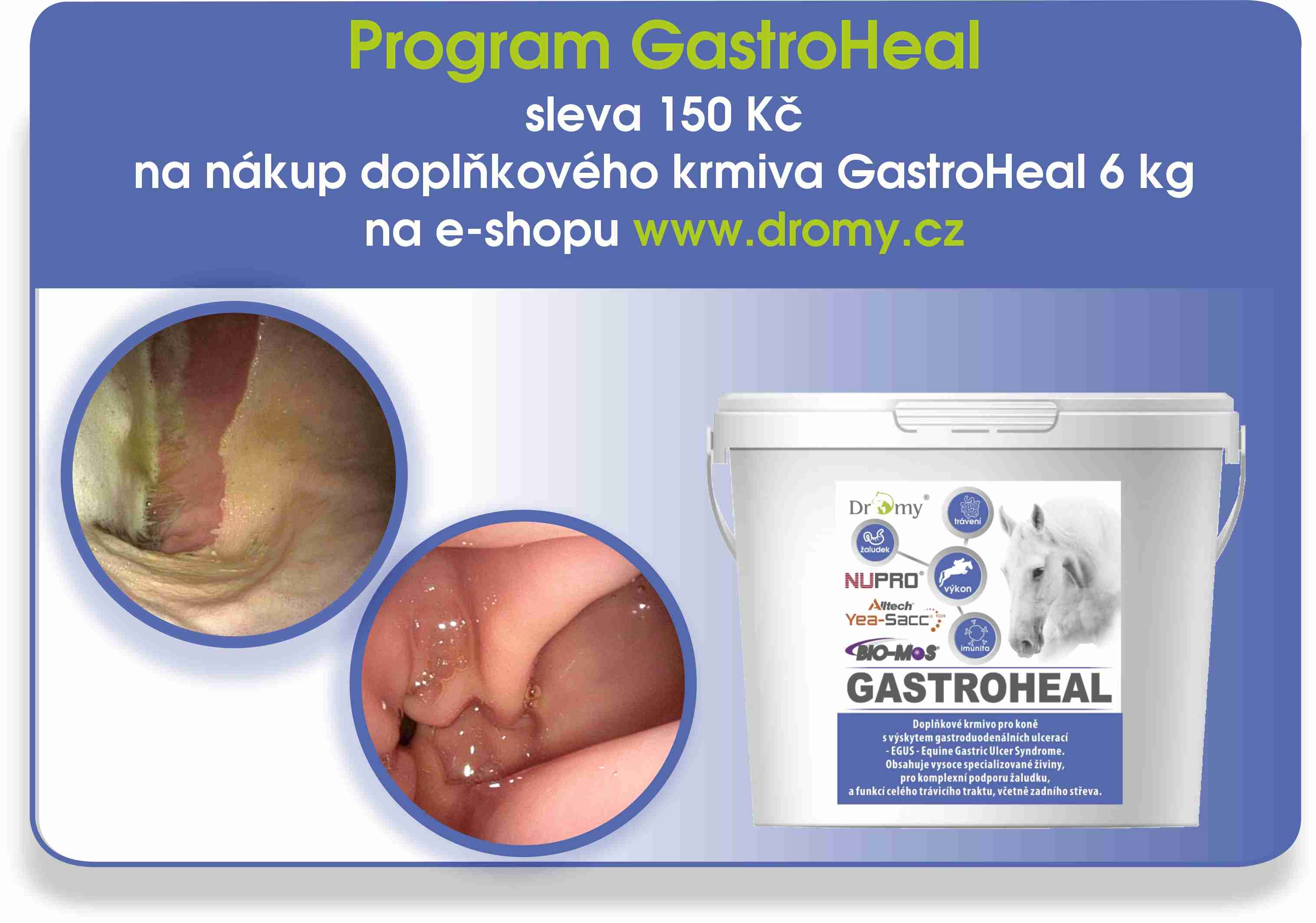 Program GastroHeal