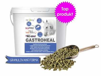 GASTROHEAL2