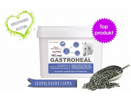 GASTROHEALSoK