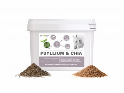 PSYLLIUM CHIA2