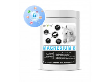 Magnesium BI