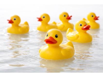 ChatGPT Image 22. 1. 2026 14 16 11