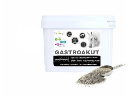 gastroakut