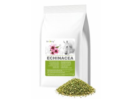 ECHINACEA
