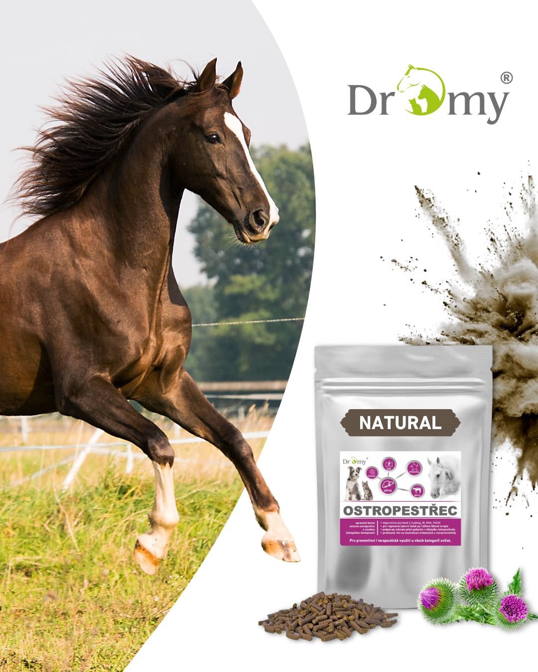 Ostropestřecové výlisky, 3 kg