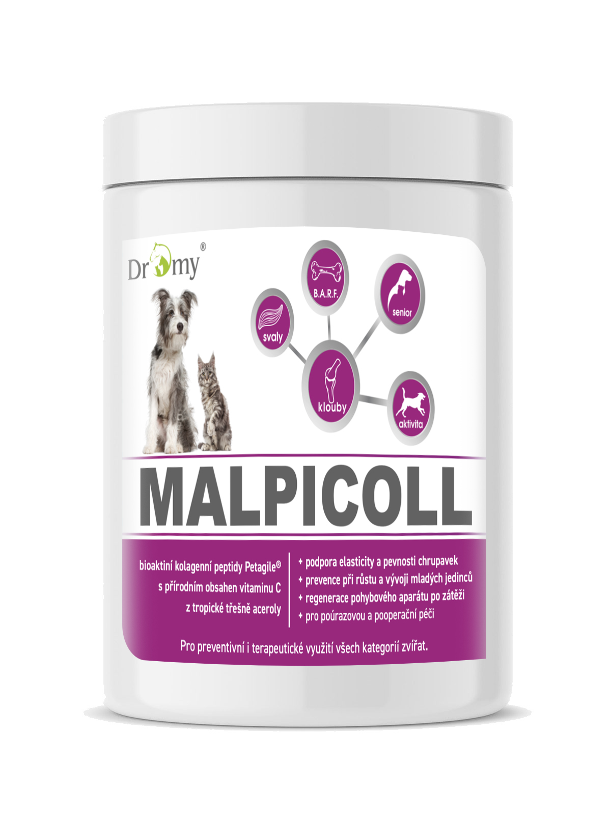 Dromy Malpicoll