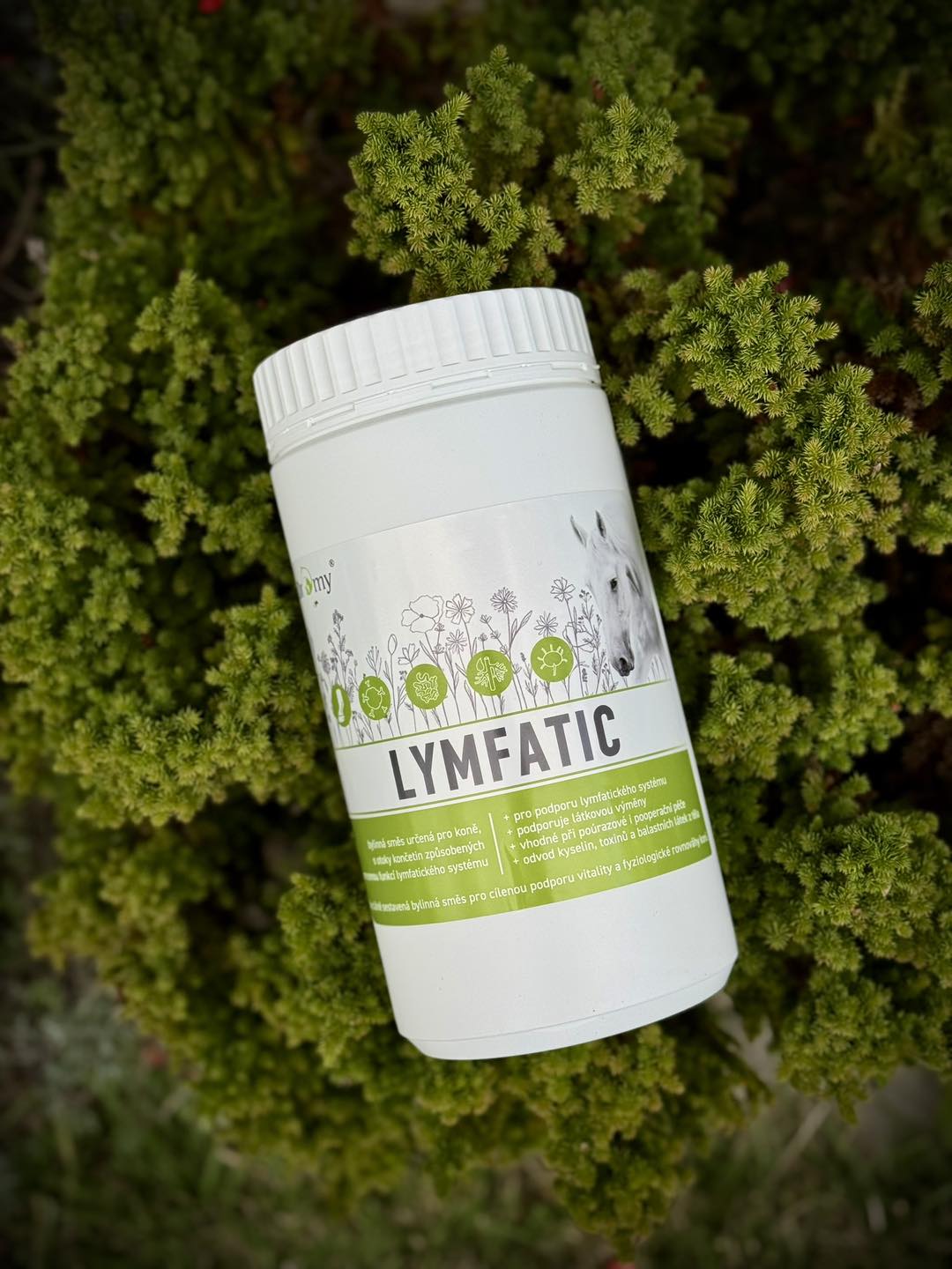 Dromy Lymfatic 1,5 kg | Bylinky pro koně