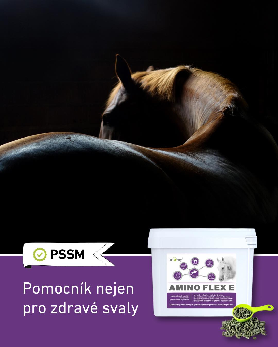 Dromy Amino Flex E, 6 kg