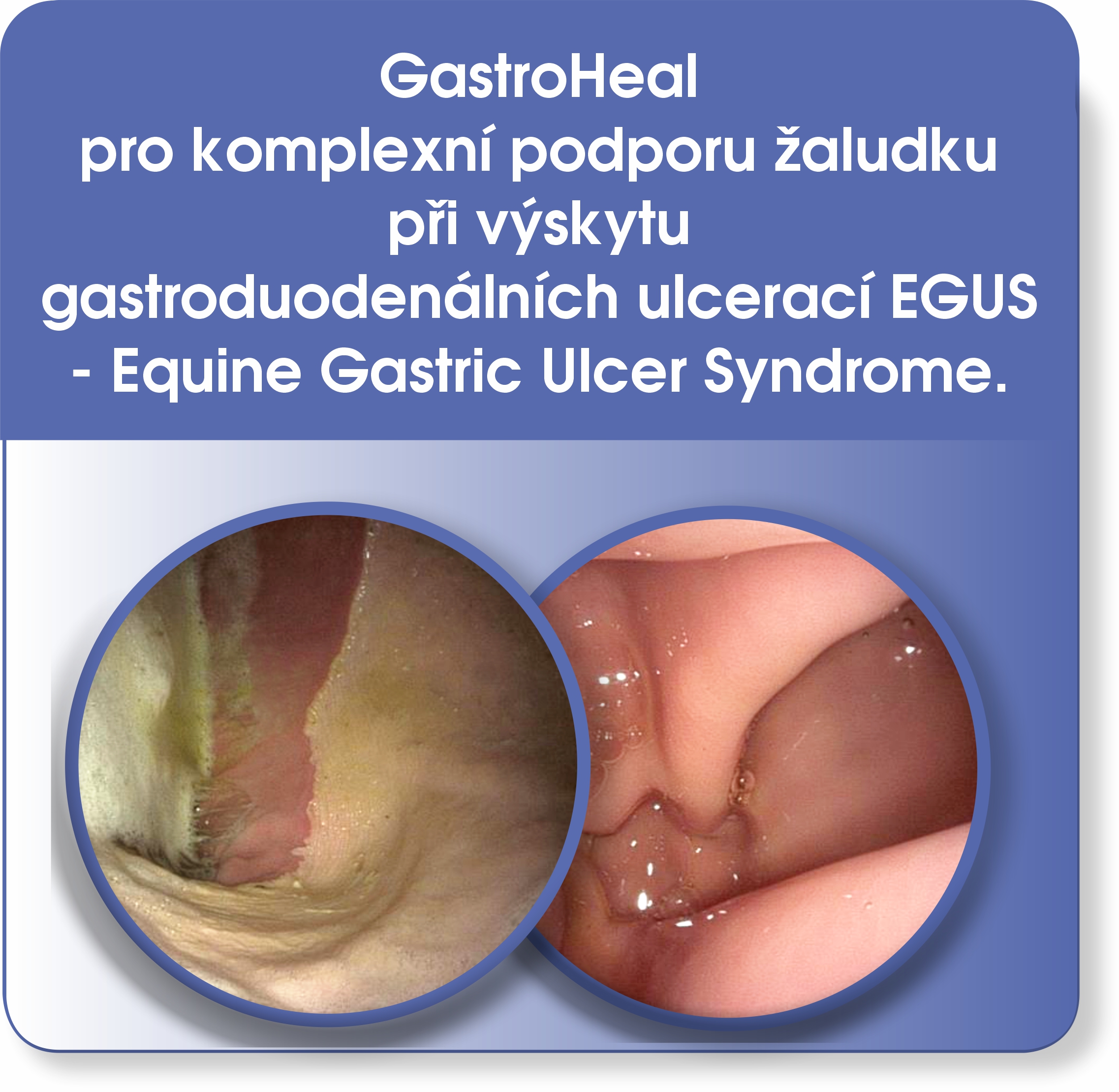 Dromy GastroHeal CONCENTRATE