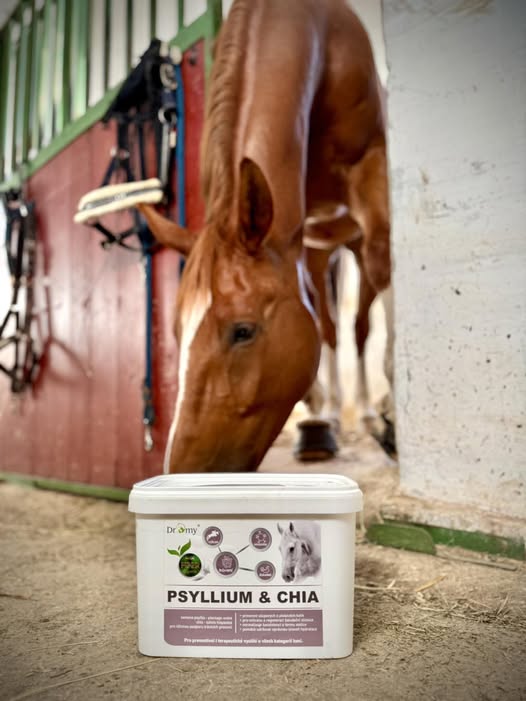 Psyllium + Chia, 3 kg