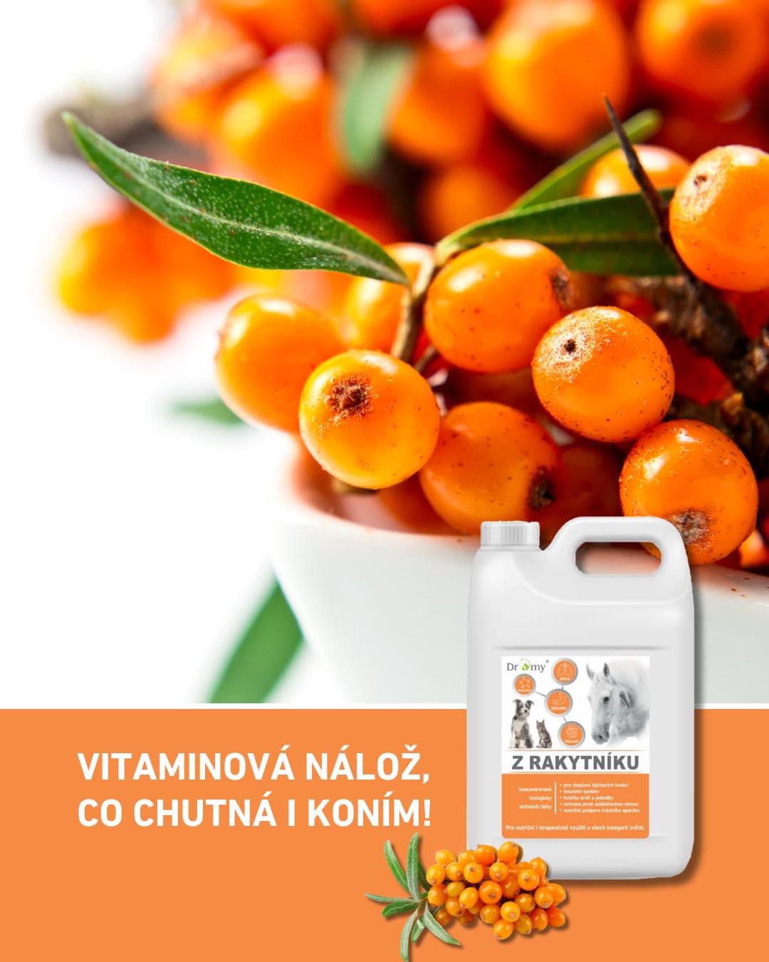 Rakytníková šťáva 2l | 318 Kč | Bylinky pro koně