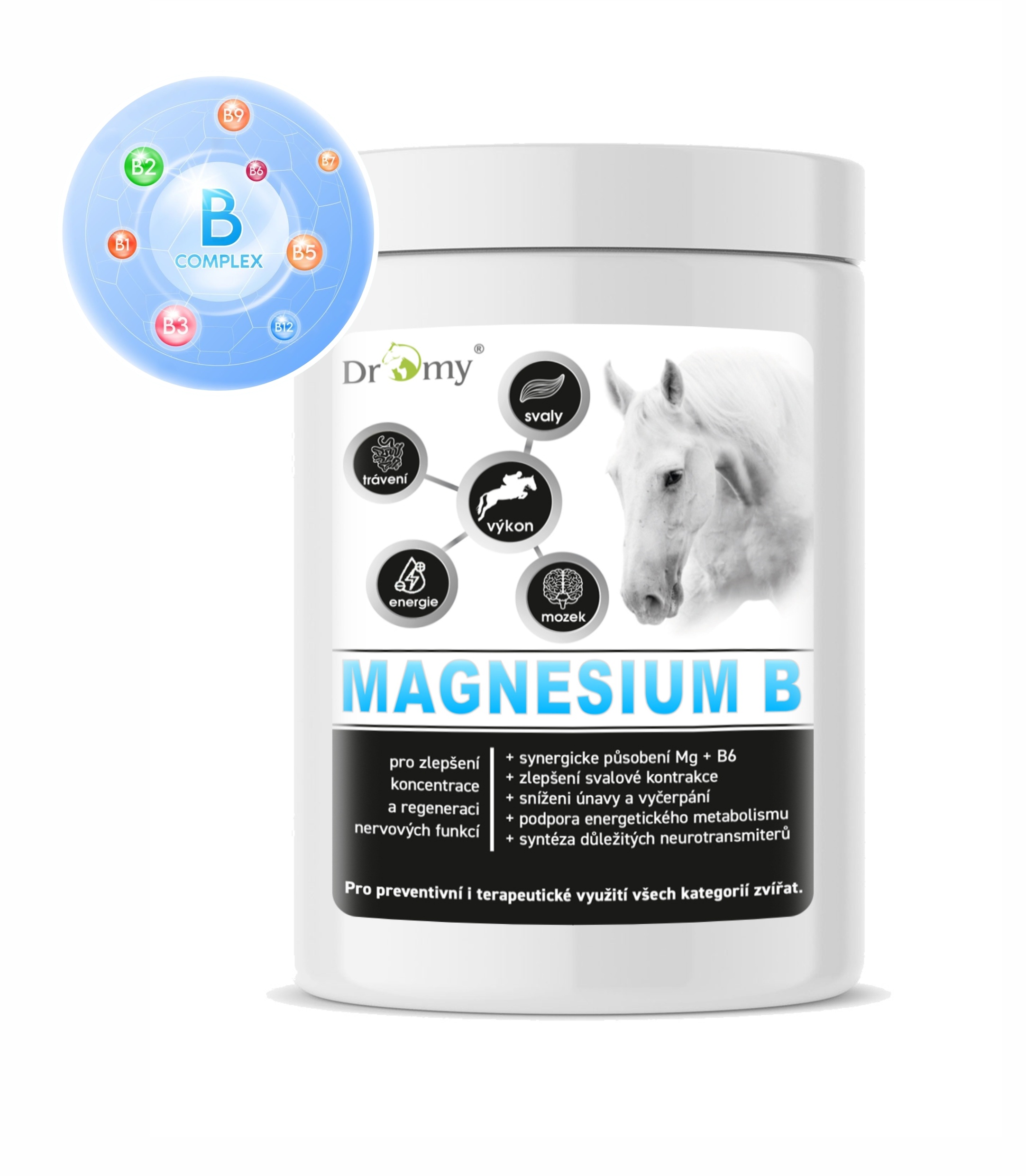Magnesium B - 100 denních dávek, 1kg