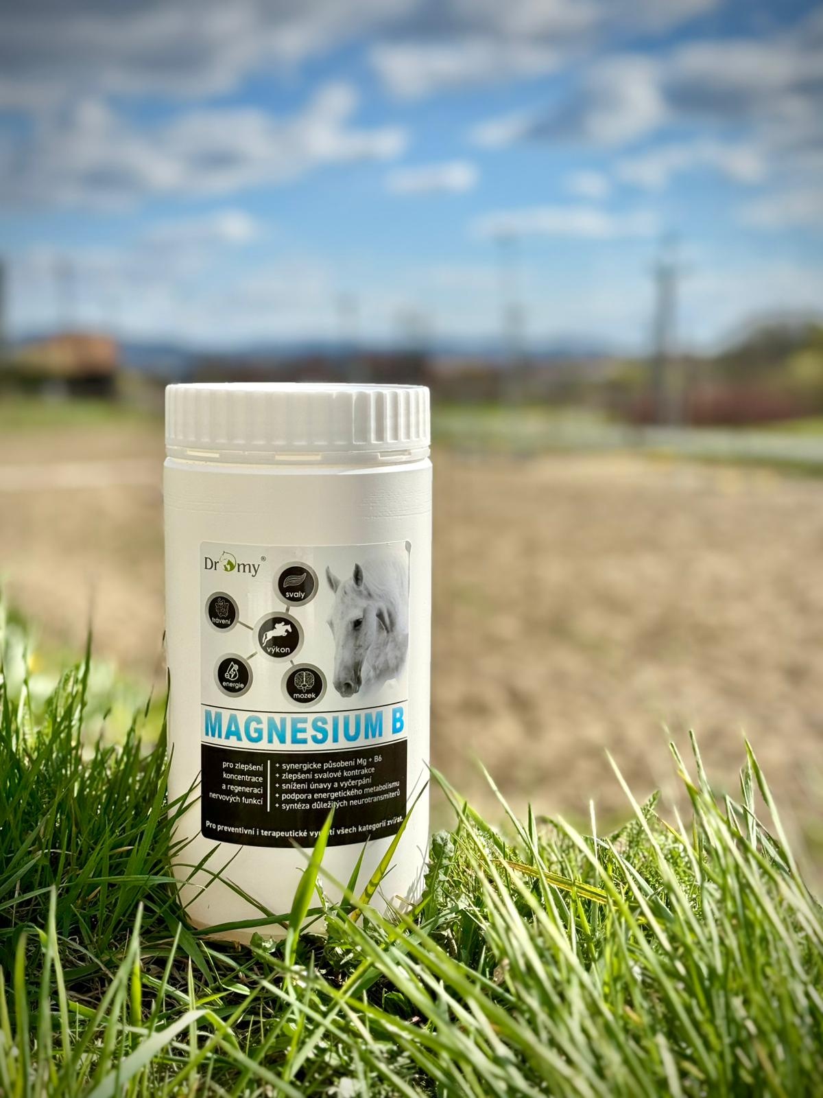 Magnesium B - 100 denních dávek, 1kg