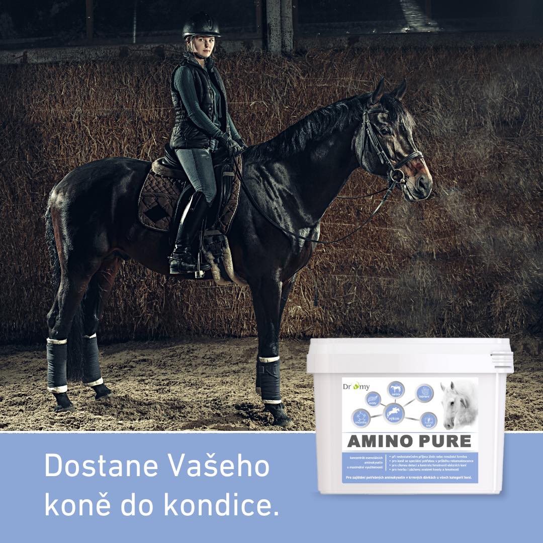 Dromy Amino Pure 