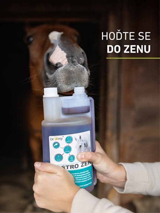 Gastro Zen, 1 l