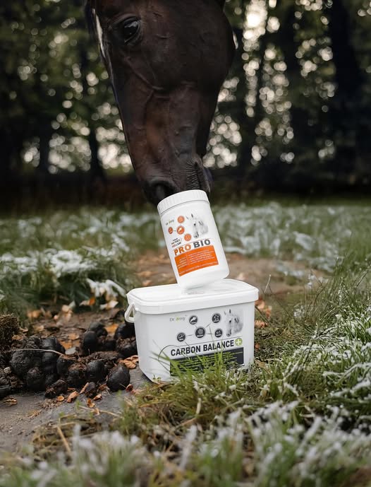 Carbon balance, 2 kg + 20 % ZDARMA