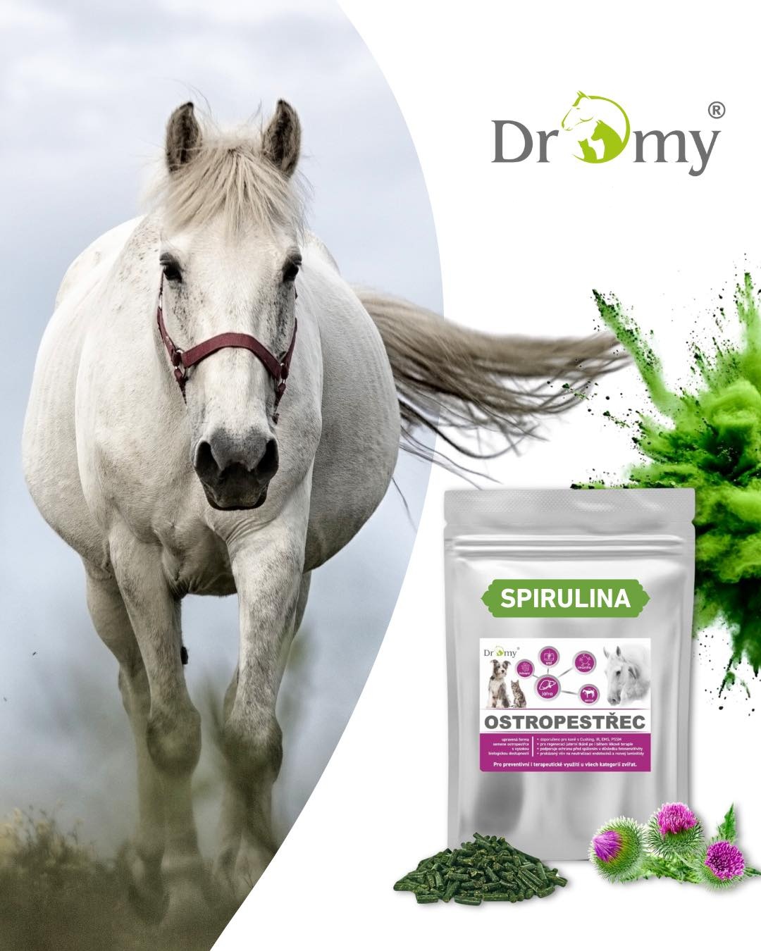 Ostropestřec & Spirulina, 3 kg