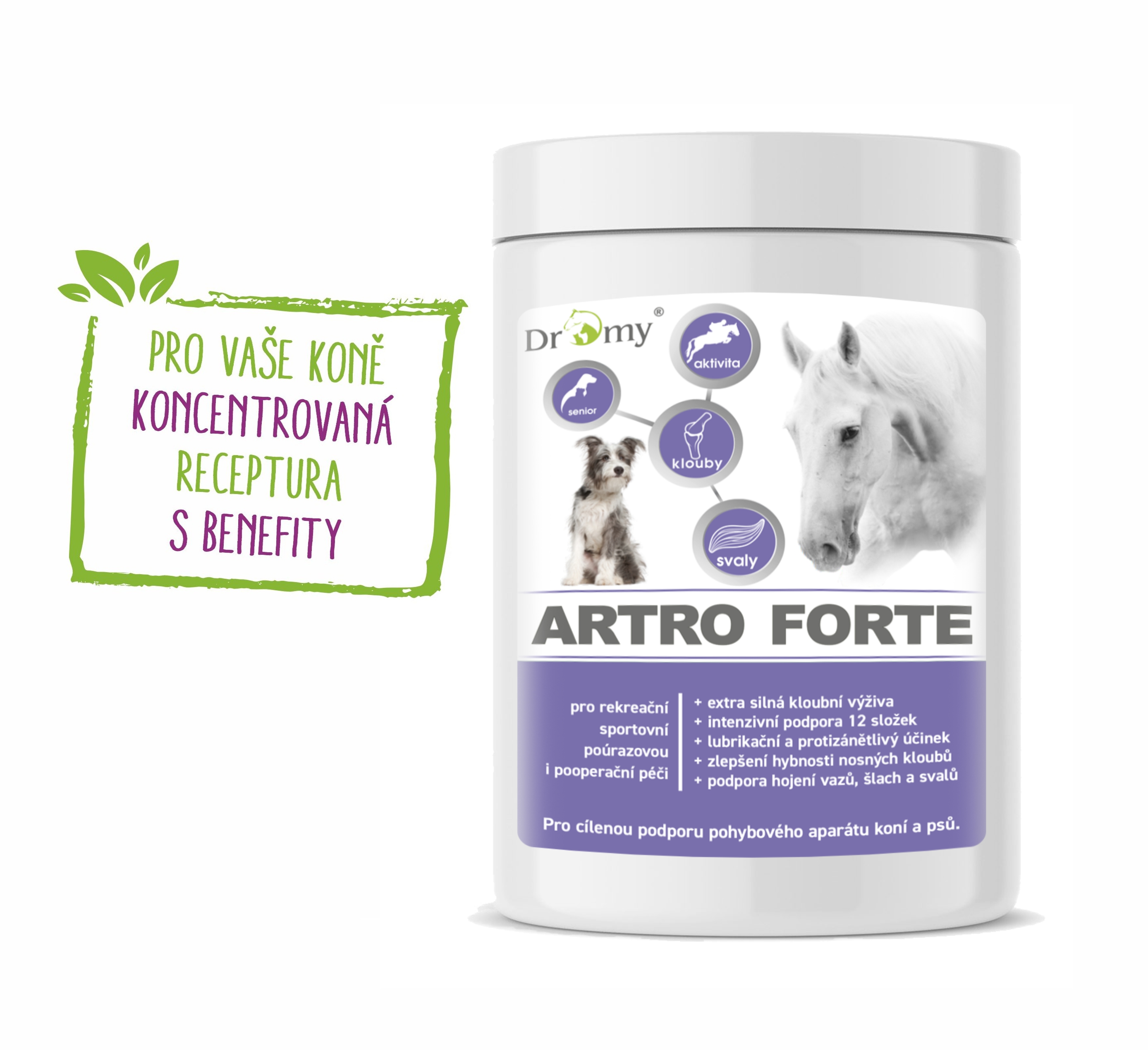 Artro FORTE, 900 g
