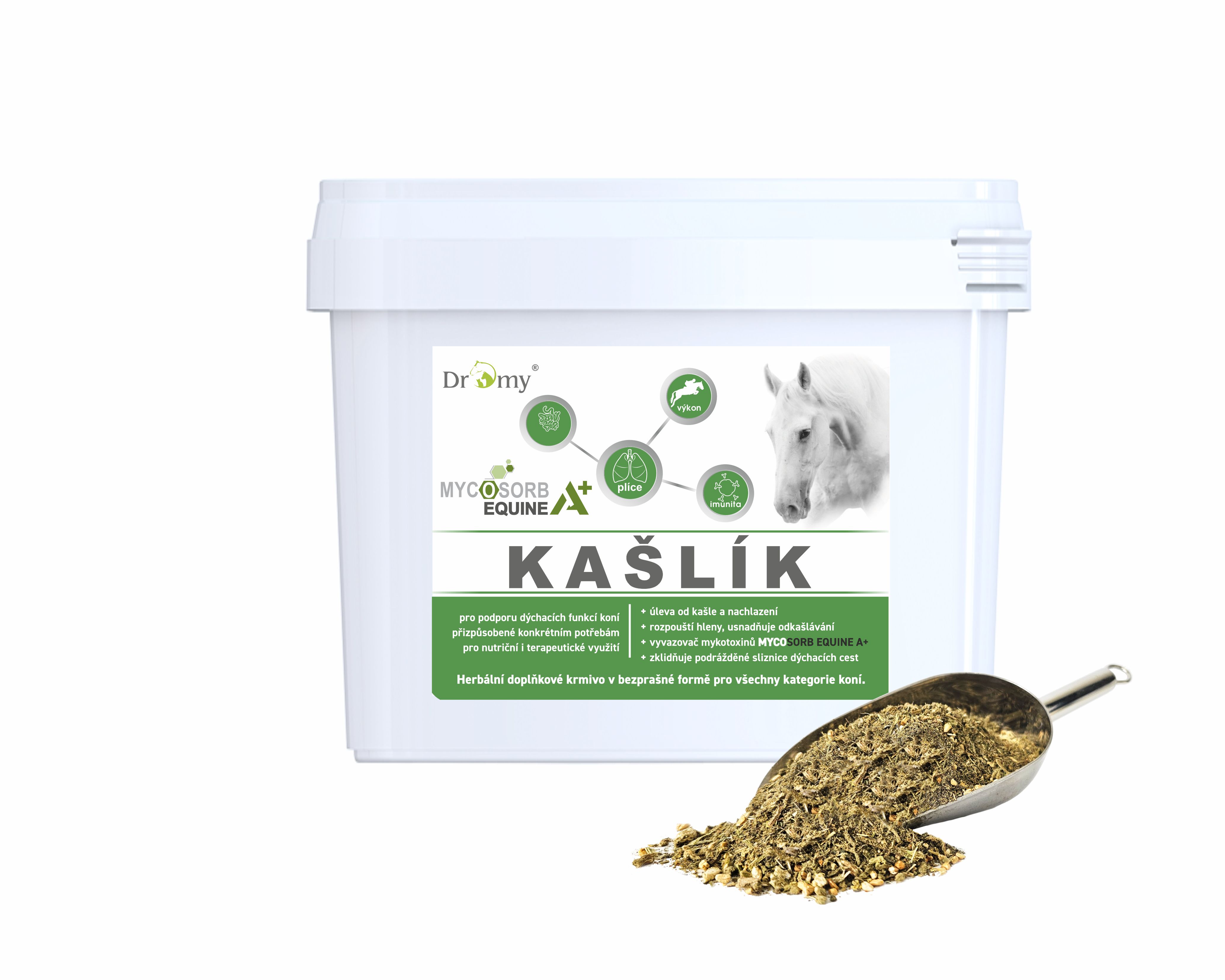 Dromy Kašlík
