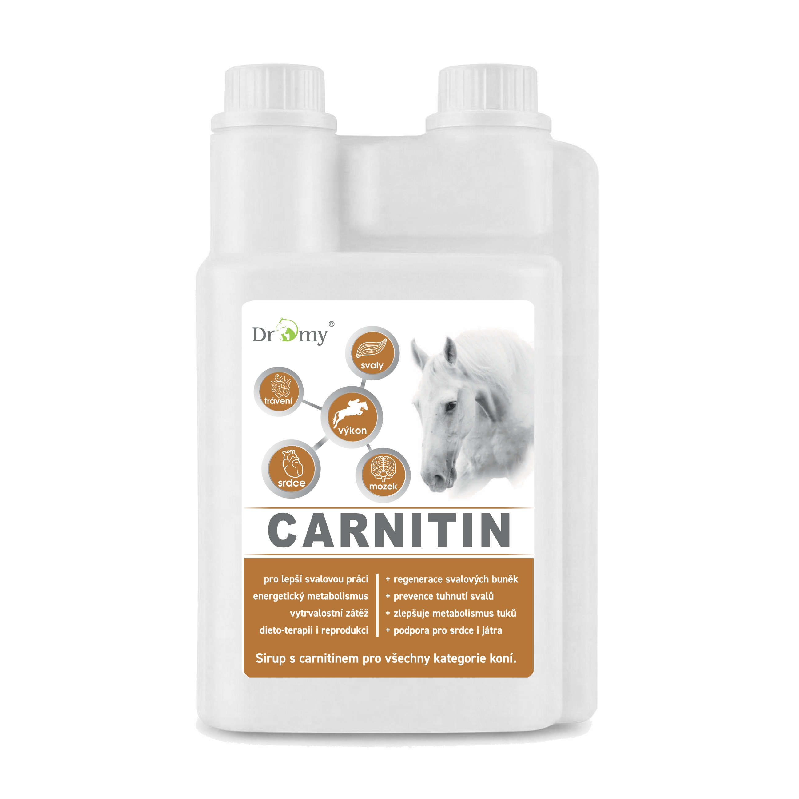 L-Carnitin sirup, 1 l